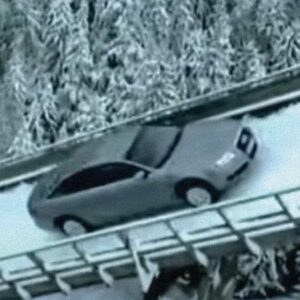 audi quattro 25 years grading Judith de Boer