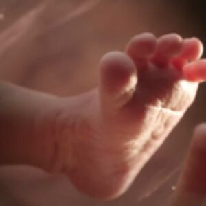 Orange Babies campaign grading Judith de Boer