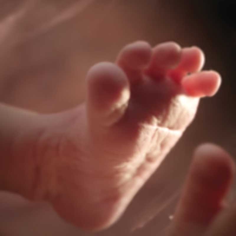 Orange Babies campaign grading Judith de Boer